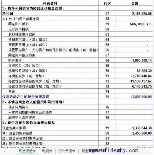 自动生成的现金流量附表图示