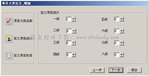 定义项目大类级次