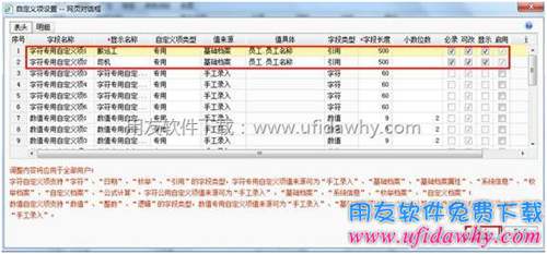 设置字符型自定义项图示