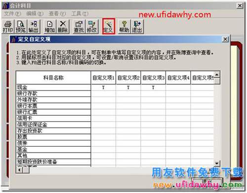 用友T3软件填制凭证可不可以录入自定义项？ 用友T3 第3张