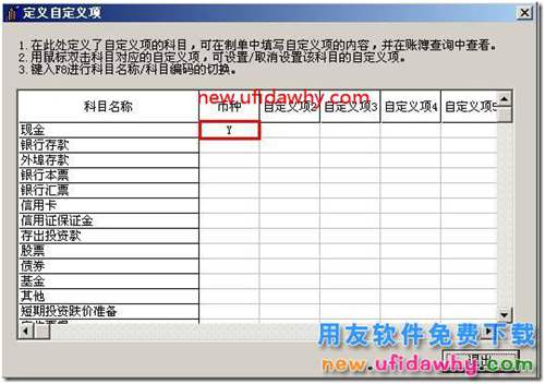 用友T3软件填制凭证可不可以录入自定义项？ 用友T3 第10张