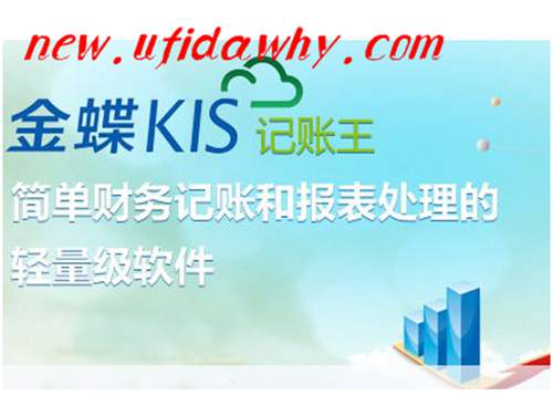 金蝶KIS记账王V10.0软件都有些什么快捷键？