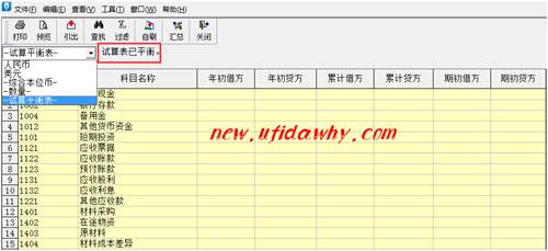 金蝶KIS记账王试算平衡表